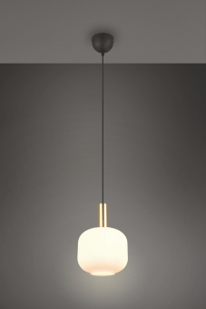 Trio PL DIVA, 1x E27 oLM       319800108 