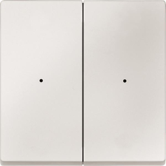 Merten Wippe f.Tastermodul 2fach  625219 