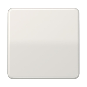 Jung Steuertaste Std.           CD1700LG 