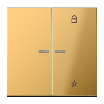 Jung eNet Funk-Steuertaste    FM GO 1701 