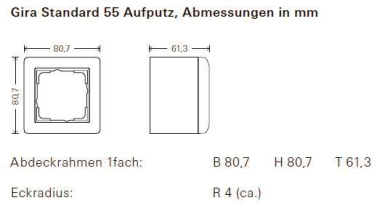 GIRA 106101 AP-Gehäuse 1fach+Rahmen 