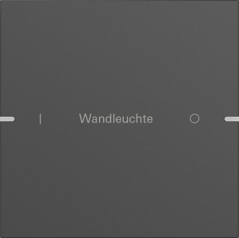 GIRA 5031905 Wippenset 1fach indiv. 