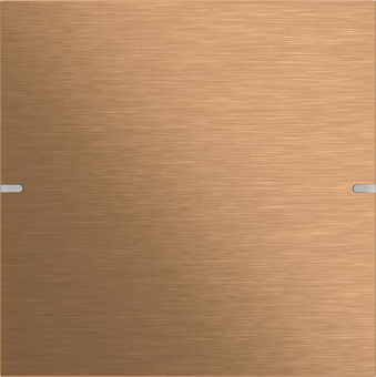 GIRA 502138 Wippenset 1fach Tastsensor4 