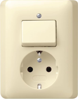 GIRA 017601 Kombi Aus-Wechsel/SCHUKO 