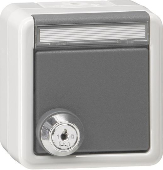 GIRA 456930 SCHUKO-Steckdose Klappdeckel 