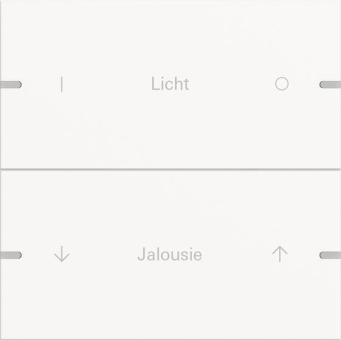 GIRA 5032927 Wippenset 2fach indiv. 