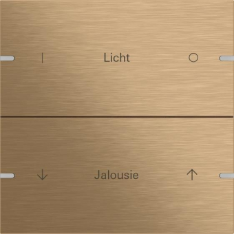 GIRA 503238 Wippenset 2fach indiv. 