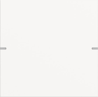 GIRA 5021927 Wippenset 1fach Tastsensor4 