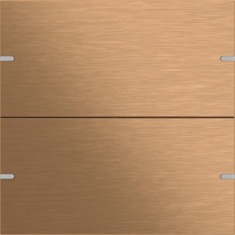 GIRA 502238 Wippenset 2fach Tastsensor4 