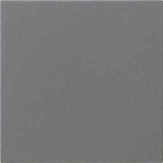 GIRA 537228 Wippe 1fach unbedruckt 