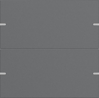 GIRA 5022928 Wippenset 2fach Tastsensor4 