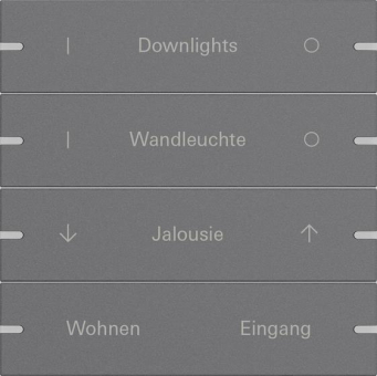 GIRA 5034928 Wippenset 4fach indiv. 