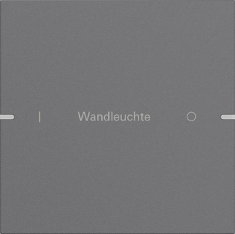 GIRA 5031928 Wippenset 1fach indiv. 