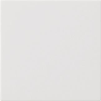 GIRA 537203 Wippe 1fach unbedruckt 