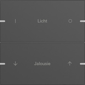 GIRA 5032905 Wippenset 2fach indiv. 