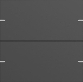 GIRA 5022905 Wippenset 2fach Tastsensor4 