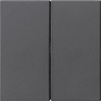 GIRA 5370005 Wippe 2fach unbedruckt 