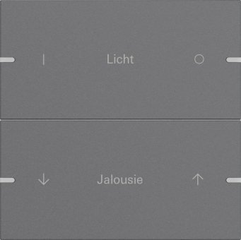 GIRA 5032928 Wippenset 2fach indiv. 