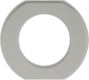 Berker Glasmittelrahmen Glasserie 109300 