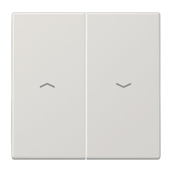JG Wippe f. Taster Ba 2-F.      LS995PLG 