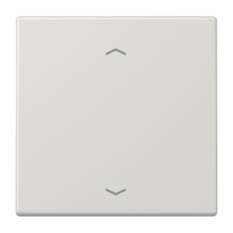 JG Wippe für Taster BA 1-    LS 990 P LG 