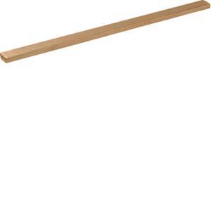 Hager CU-Schiene 20x5x2050mm       N11AN 