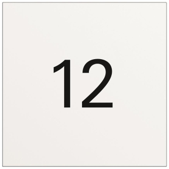 GIRA 5560902 Info-Modul System 106 