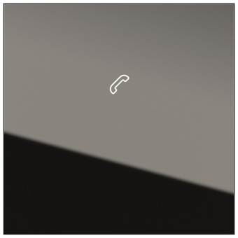 GIRA 5567000 Anzeigemodul (DIN 18040) 