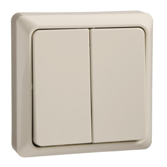 ELSO Renovierung AP Doppeltaster  506250 