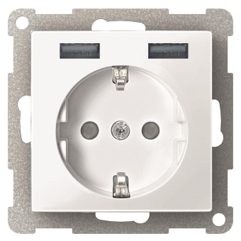 Elso Steckdose m.USB 16A/250V  ELG365344 