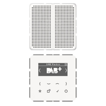 Jung Smart Radio DAB+Set Mono   DABCD1WW 
