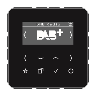 Jung Smart Radio DAB+            DABCDSW 