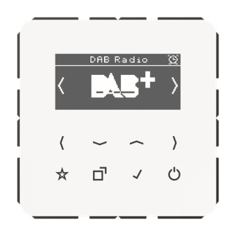 Jung Smart Radio DAB+            DABCDWW 