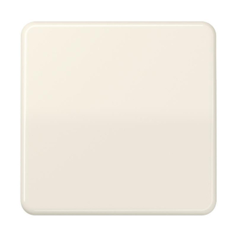 Jung Steuertaste Std.             CD1700 