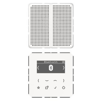 Jung Smart Radio              DABCD1BTWW 