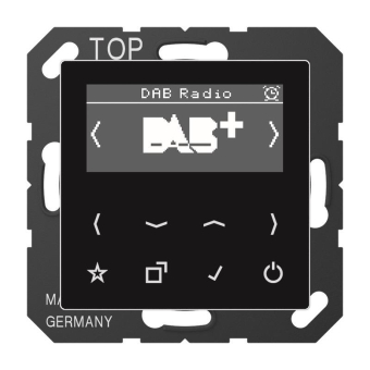 Jung Smart Radio DAB+             DABASW 