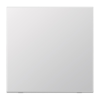 Jung Steuertaste Std.             AL1700 