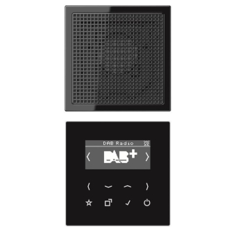 Jung Smart Radio DAB+Set Mono   DABLS1SW 