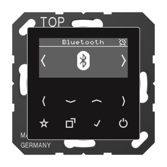 Jung Smart Radio                DABABTSW 