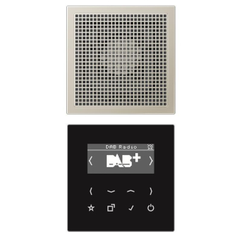 Jung Smart Radio DAB+Set Mono     DABES1 