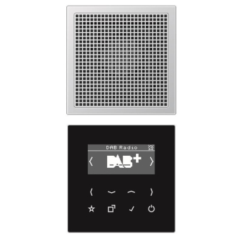 Jung Smart Radio DAB+Set Mono     DABAL1 