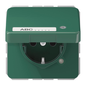 Jung SCHUKO-Steckdose  CD 1520 NAKLKO GN 