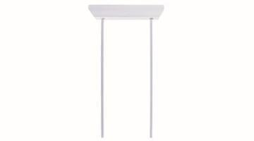 RP 2xDW-Designpendel              2DW-EB 