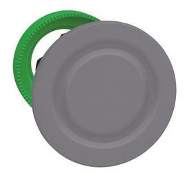 Schneider Blindstopfen, Front, ZB5FSZ3C0 