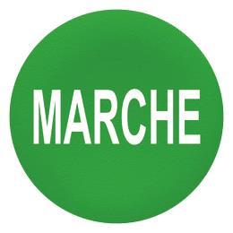 Schneider Tastenschild grün      ZBAF342 