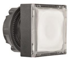 GS Leuchttaster flach           ZB5CW313 