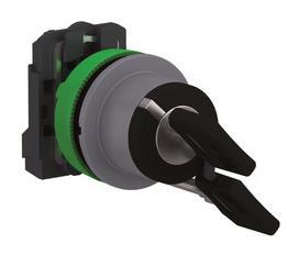 Schneider Schlüsselschalter, XB5FGCUST01 