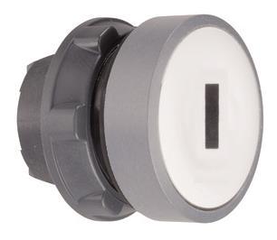 Schneider Drucktaster, Front,   ZB5AA1C0 