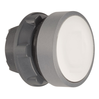 Schneider Drucktaster, Front,   ZB5AA1C0 
