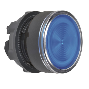 GS Leuchtdrucktaster            ZB5AW363 